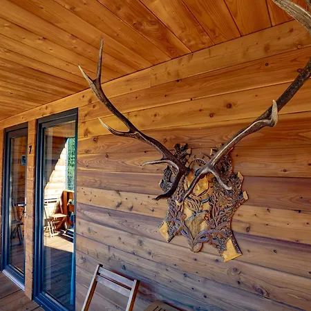 Bed & Breakfast Casa Izvorul Negru